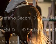 CAletto della Verdina TosTour2013- S5 3160 : Arezzo, Arezzo Equestrian Centre, Caletto della Verdina, Cavalli d'Italia, Toscana Tour 2013, foto di Stefano Secchi ©